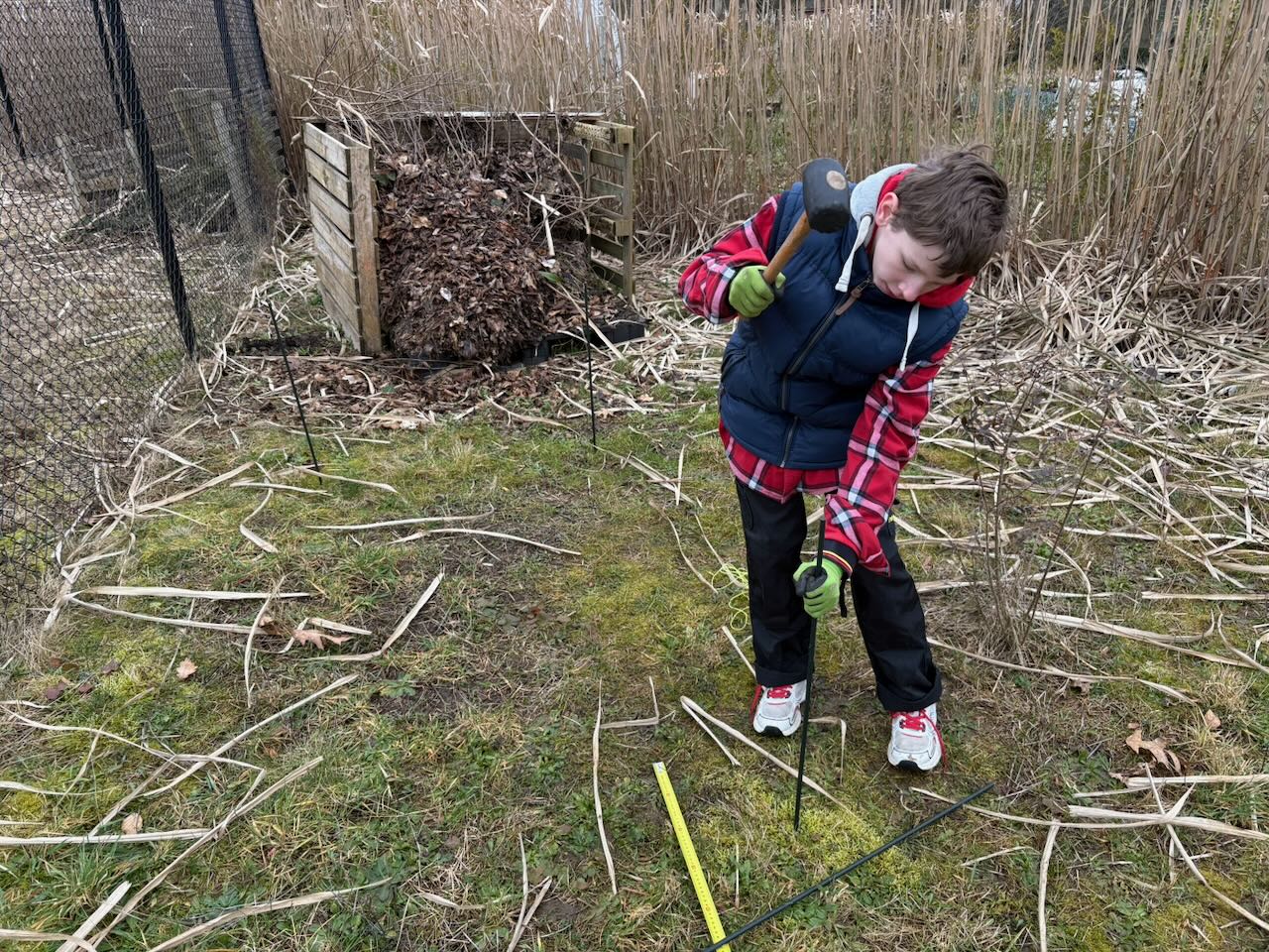 compostbak-20260214132320.jpg