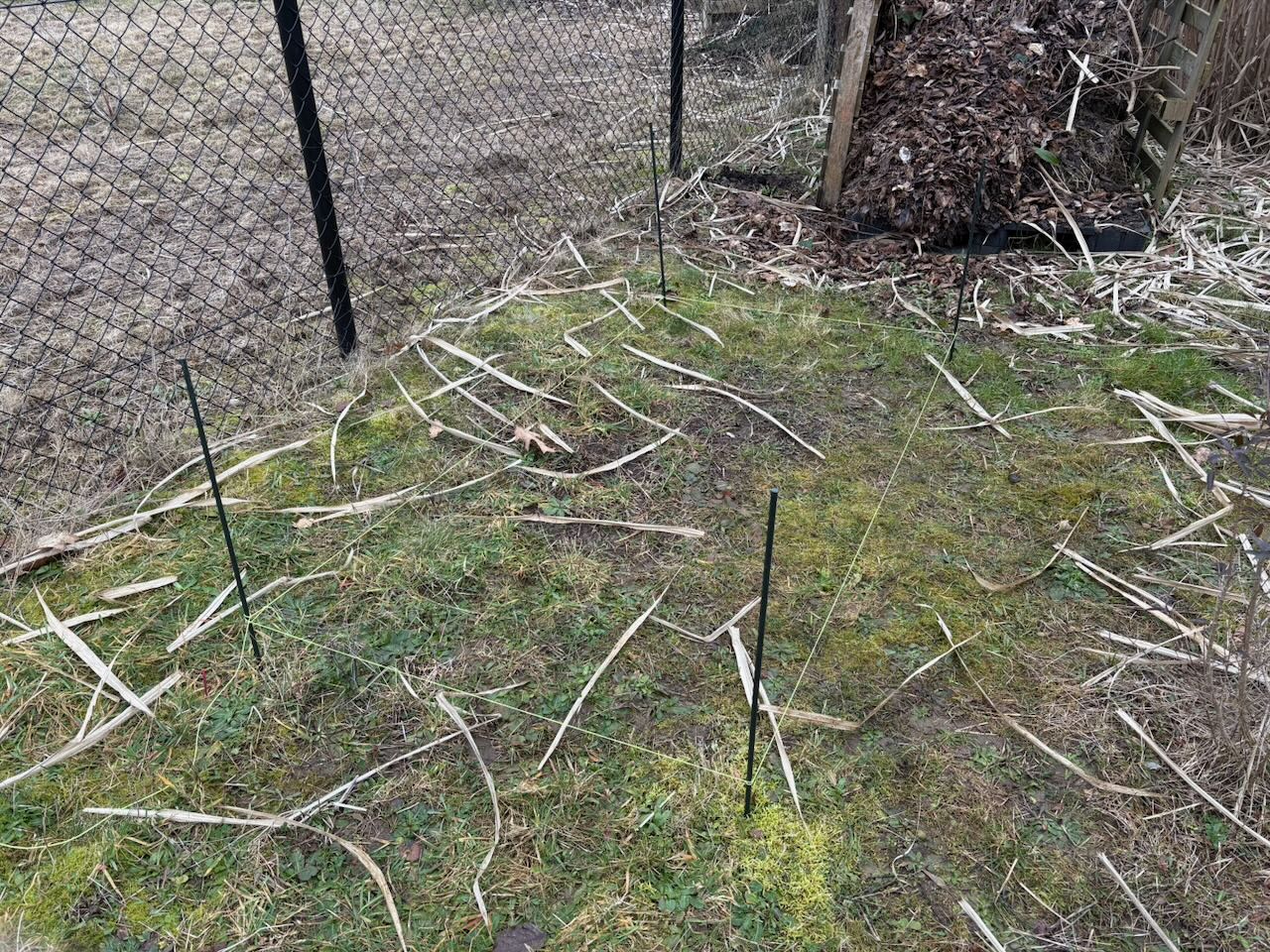 compostbak-20260214132958.jpg