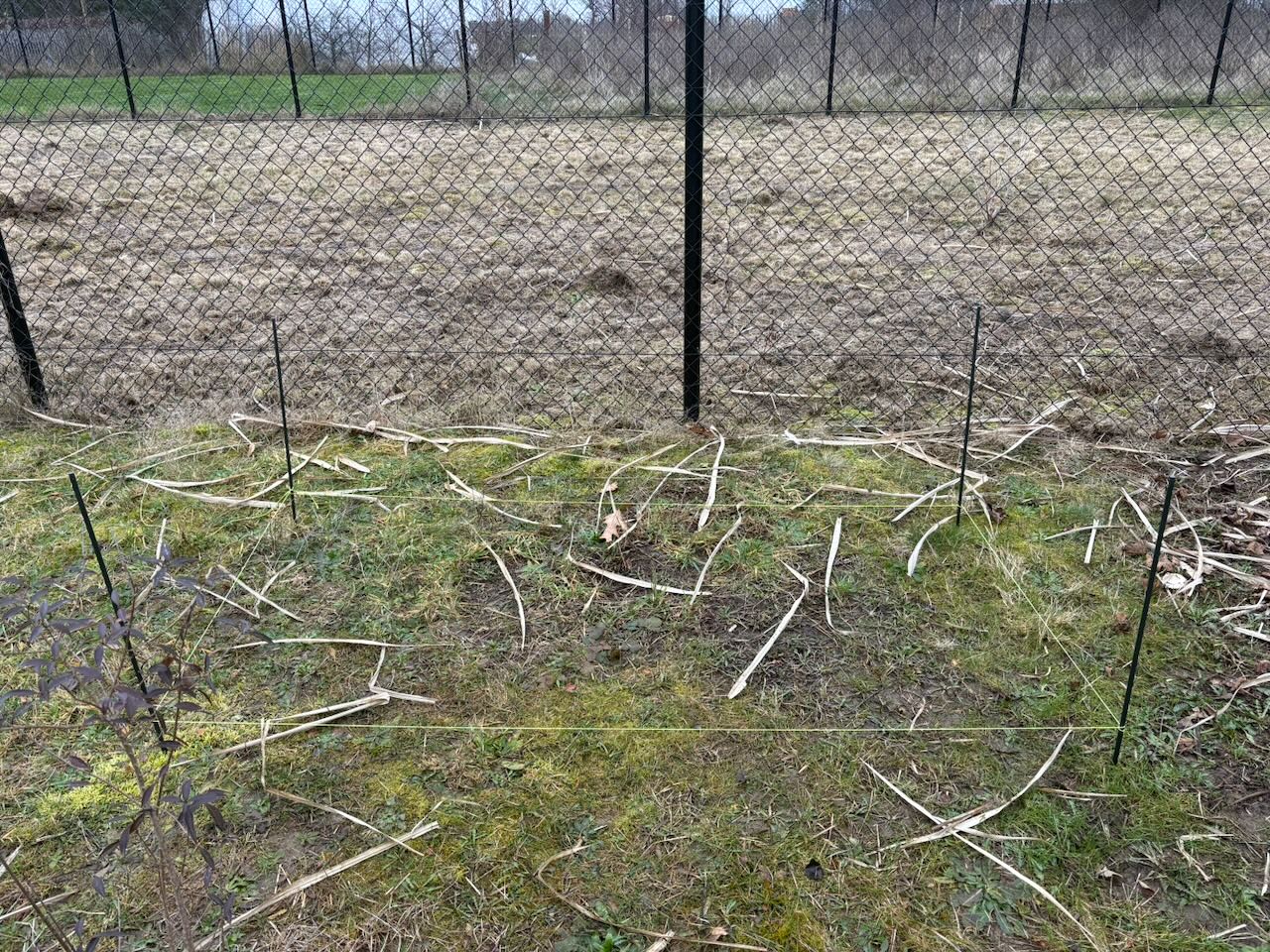 compostbak-20260214132945.jpg